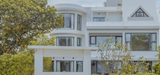 immobilier idéal