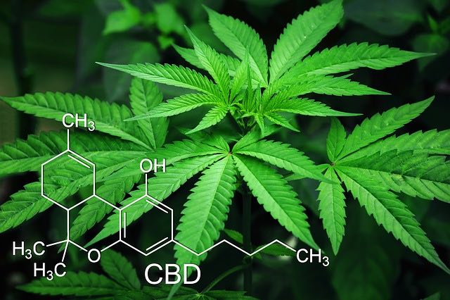 Acheter du CBD en Suisse