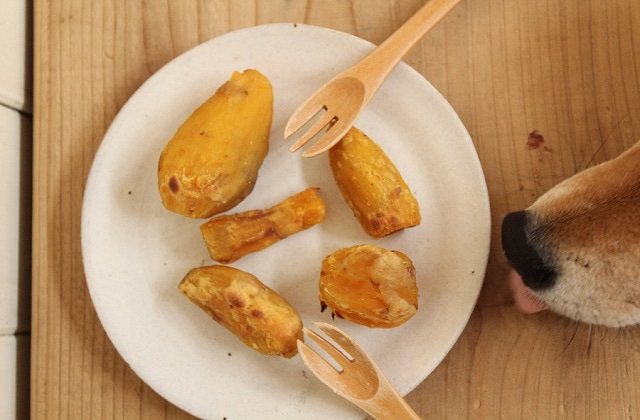 Les bienfaits de la patate douce pour votre animal de compagnie