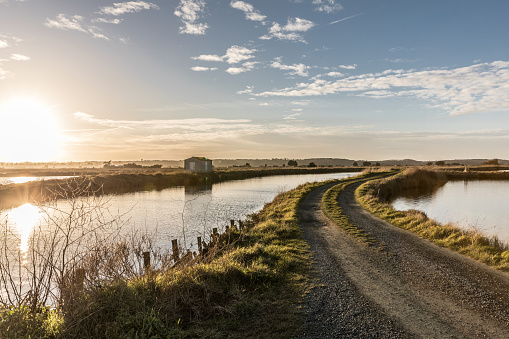 vendee