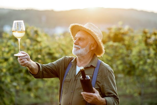 Quel type de vin français est le Médoc