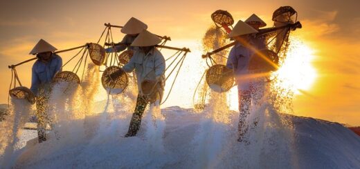 Voyage authentique au Vietnam