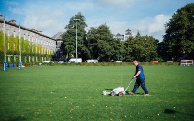 lame mulching vs souffleuse